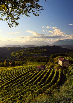 Earth Wind & Wine 30